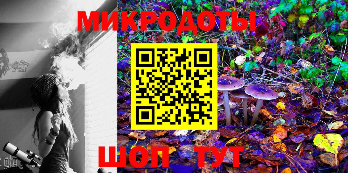 Псилоцибиновые грибы GOLDEN TEACHER  купить наркотики сайты  Шали  Псилоцибиновые грибы Psilocybe  Вход с VPN 